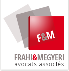 Frahi-Megyeri Firm